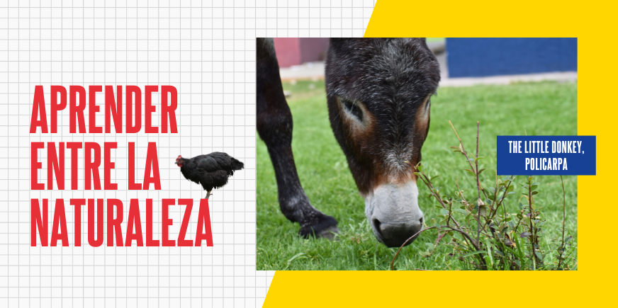 La Importancia del Contacto con la Naturaleza en el Desarrollo Infantil